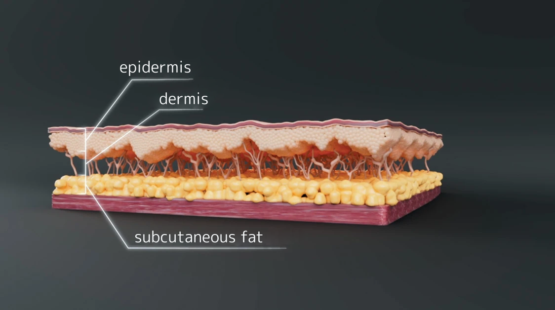 фото как это работает